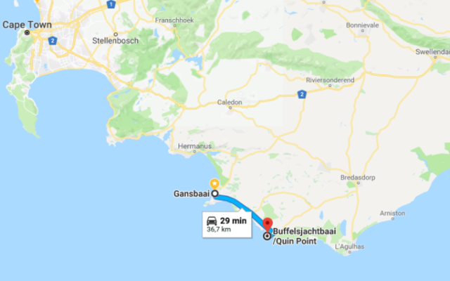 Google_Maps_Area_1521198953