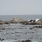 The Rock and Kelp forest in front of Die Rotse Host House Complex