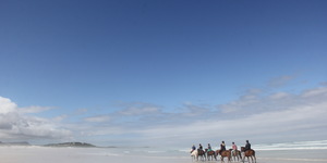 Gansbaai &Pearly Beach Horse Trails