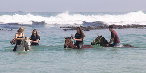 Gansbaai &Pearly Beach Horse Trails