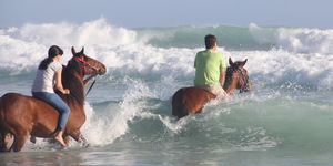 Gansbaai &Pearly Beach Horse Trails