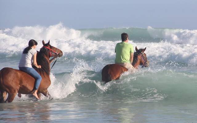 Gansbaai &Pearly Beach Horse Trails