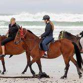 Gansbaai & Pearly Beach Trails
