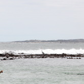 Gansbaai & Pearly Beach Trails