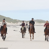 Gansbaai & Pearly Beach Trails