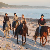 Gansbaai & Pearly Beach Trails