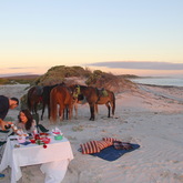 Gansbaai & Pearly Beach Trails