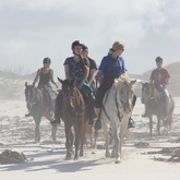 Gansbaai & Pearly Beach Trails