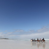 Gansbaai & Pearly Beach Trails