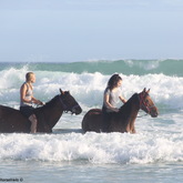 Gansbaai & Pearly Beach Trails