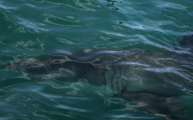 20180403_SF_Trip3_KBaker_IMG09_1522912764