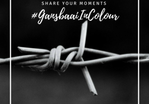 #GansbaaiInColour - April (Mysterious Monochrome)