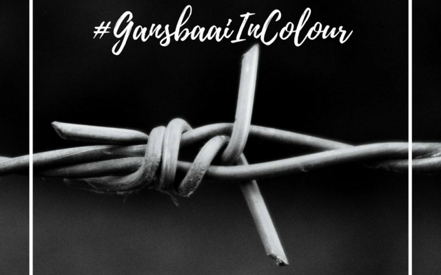 April_GansbaaiInColour_Monochrome_1522930611
