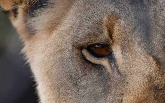 29214171_1712207862197465_1362927267734355968_o_1522998768