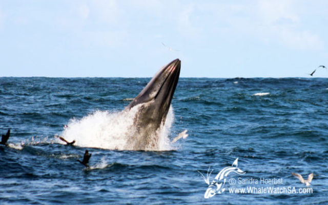 20160922_DC_Trip1_SHoerbst_IMG_077_580x387_1523447428