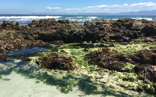 Enjoy exploring the rock pools