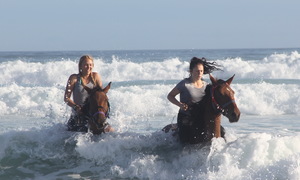 Autumn Trails – Shortening Days and Cooler Weather