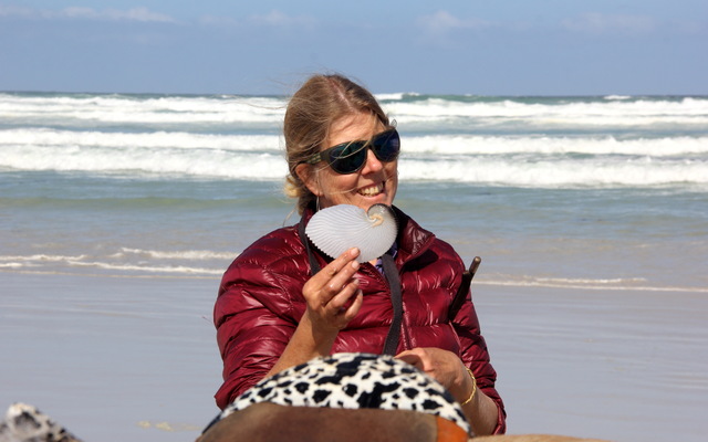 Pearly Beach Horse Trails