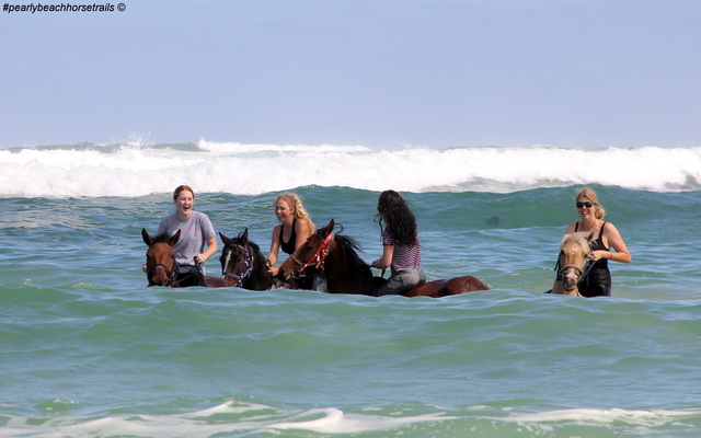 Pearly Beach Horse Trails