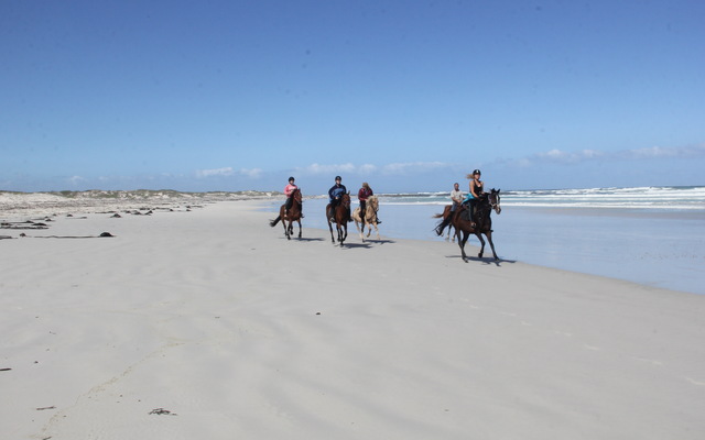 Pearly Beach Horse Trails