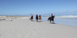 Pearly Beach Horse Trails