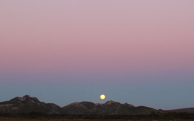 Southern Cape Astronomy