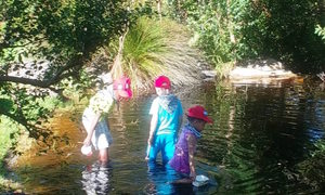 Is that clean water?