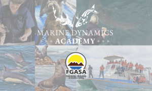Marine Dynamics Academy - FGASA Endorsed Marine Guiding