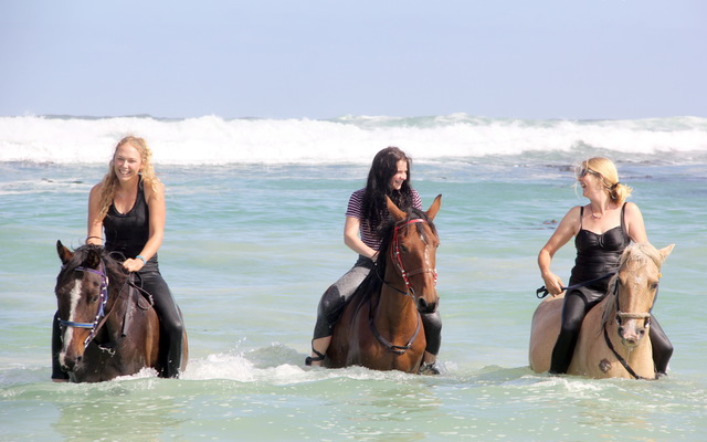 #funinthesun #seahorses #pearlybeachhorsetrails