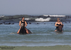 The ULTIMATE bucket list tick!