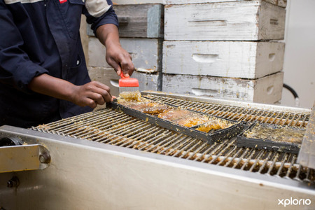 Overberg_honey_co_scraping_honey_off_brood_frame_1527058514