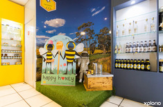 Overberg_honey_co_display_kids_corner_1527058881