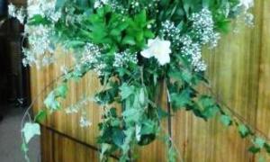 Program vir week 21-27 Mei 2018