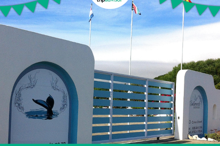 bellamente_1527506596