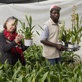 Eikenhoff Orchid Nursery