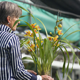 Eikenhoff Orchid Nursery