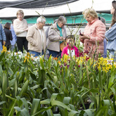 Eikenhoff Orchid Nursery