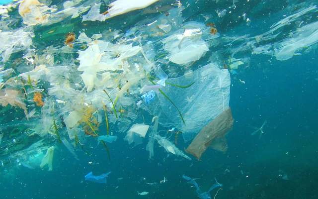 Plastic in the oceans