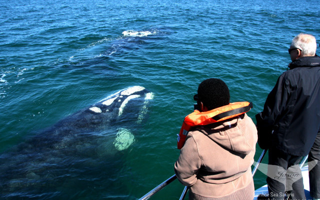 southern_Right_alonside_ivanhoe_e1527712740460_1529049260