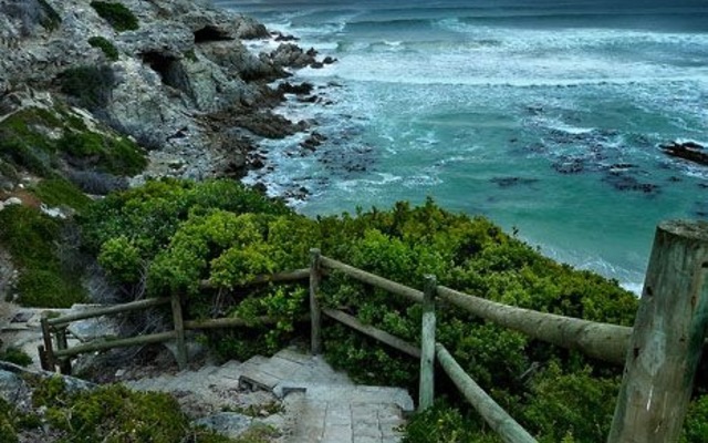Gansbaai - Villa The Cherry - Sea