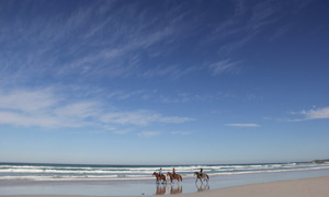 Mid Winter Beach Trails
