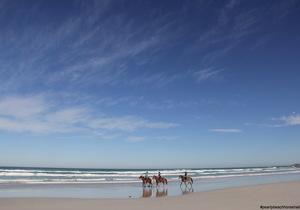 Mid Winter Beach Trails