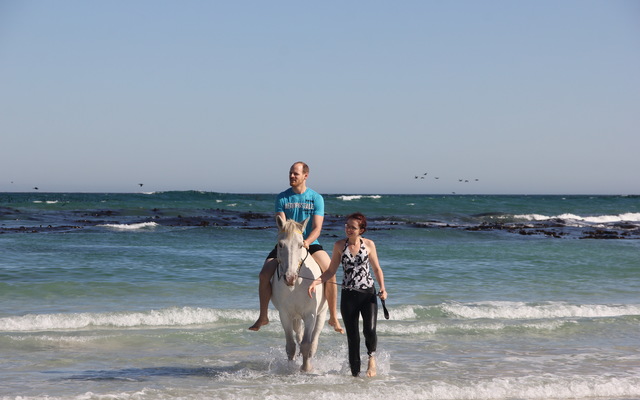 Gansbaai & Pearly Beach Horse Trails