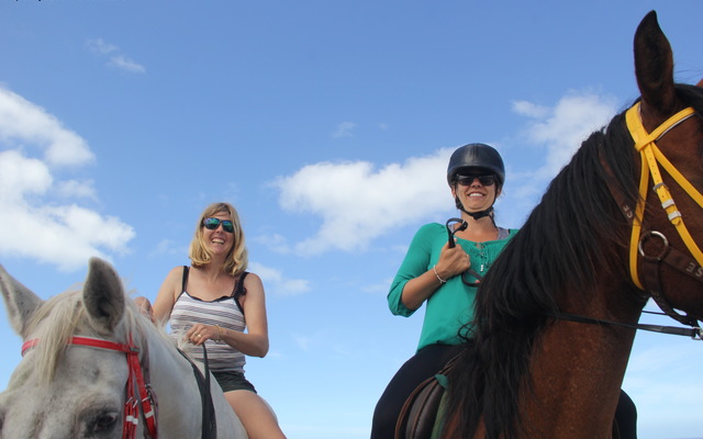 Gansbaai & Pearly Beach Horse Trails