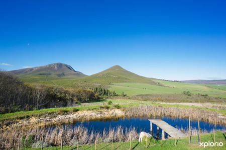 Paardenberg_cottages_light_cottage_view_1530093825