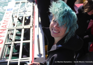 Daily Blog 28 June 2018: Shark Diving Gansbaai