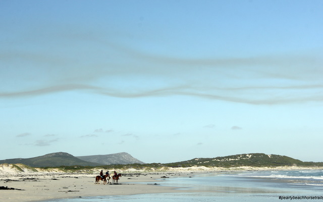 #pearlybeachhorsetrails ©