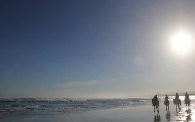 #pearlybeachhorsetrails ©