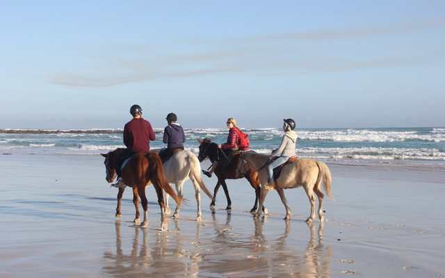 #pearlybeachhorsetrails ©