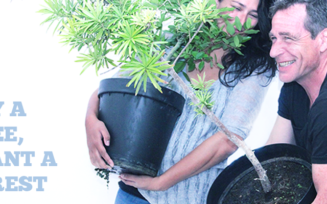 35296111_10155508400596961_8769984951102734336_n_1__1530874173